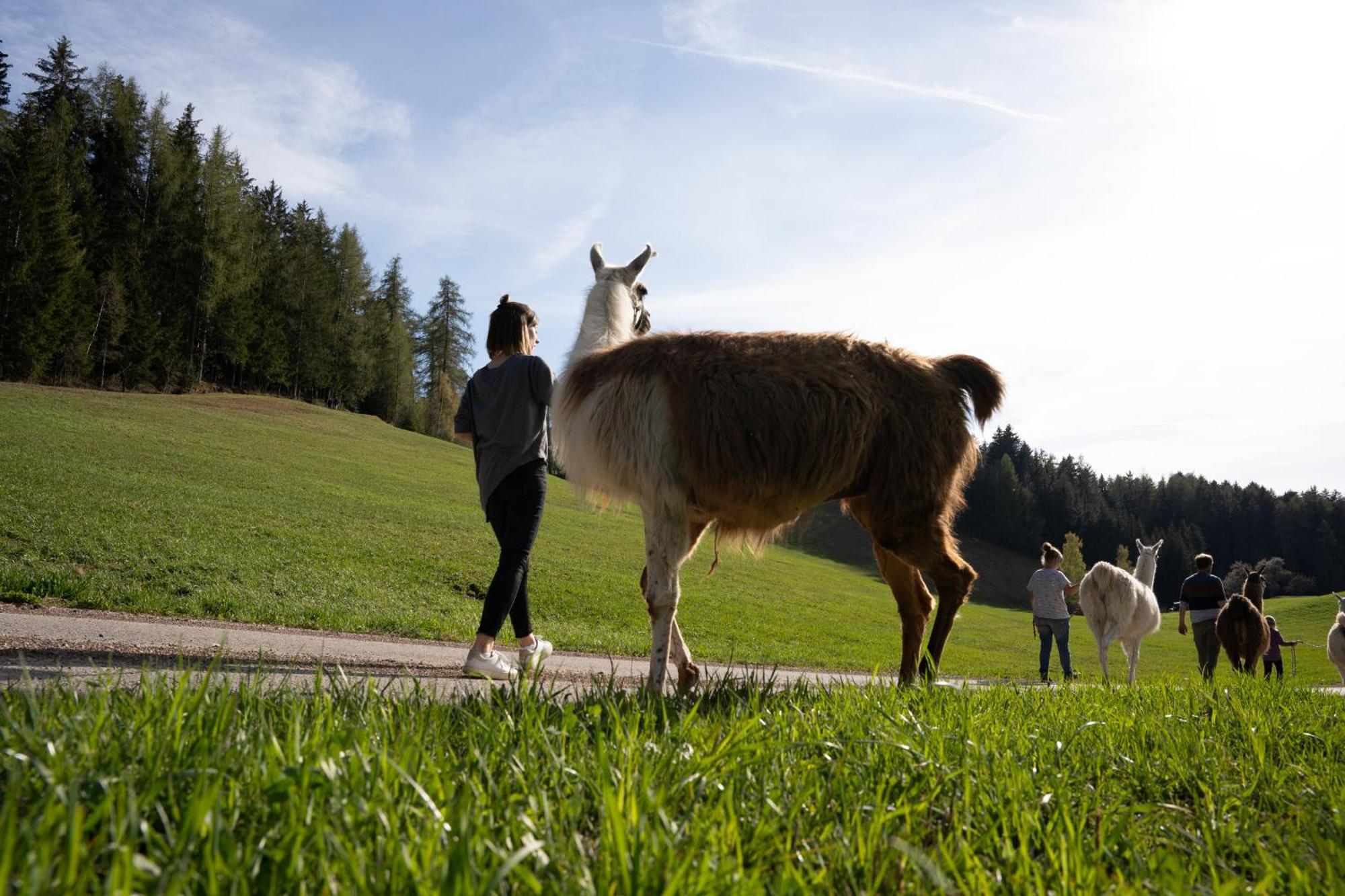 Appartamento Schupferhof Monte San Pietro Esterno foto
