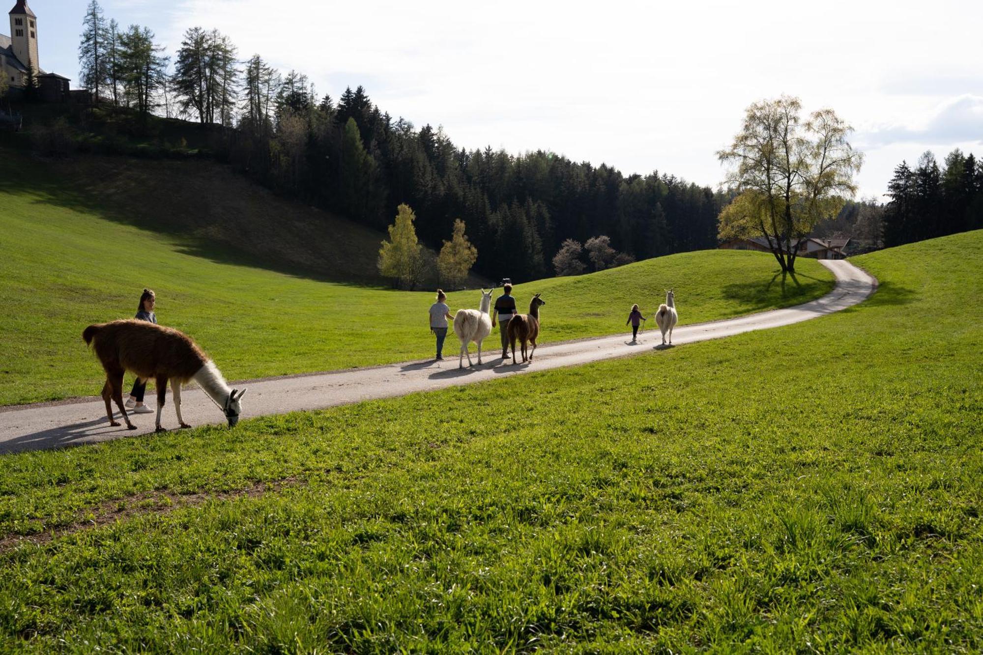 Appartamento Schupferhof Monte San Pietro Esterno foto
